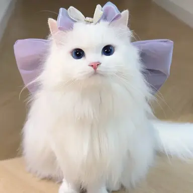 Profile image of 스노우볼