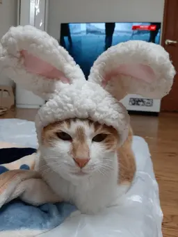 Profile image of リノ