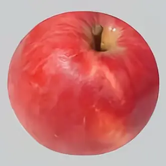 Profile image of 舜太