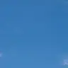 Profile image of 오마주