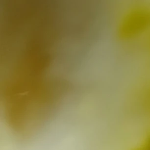 이용복