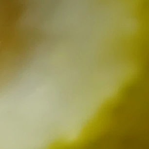 아이엔