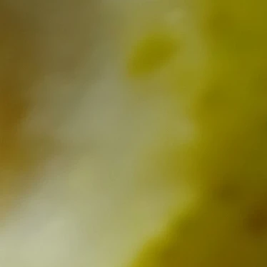 한세아
