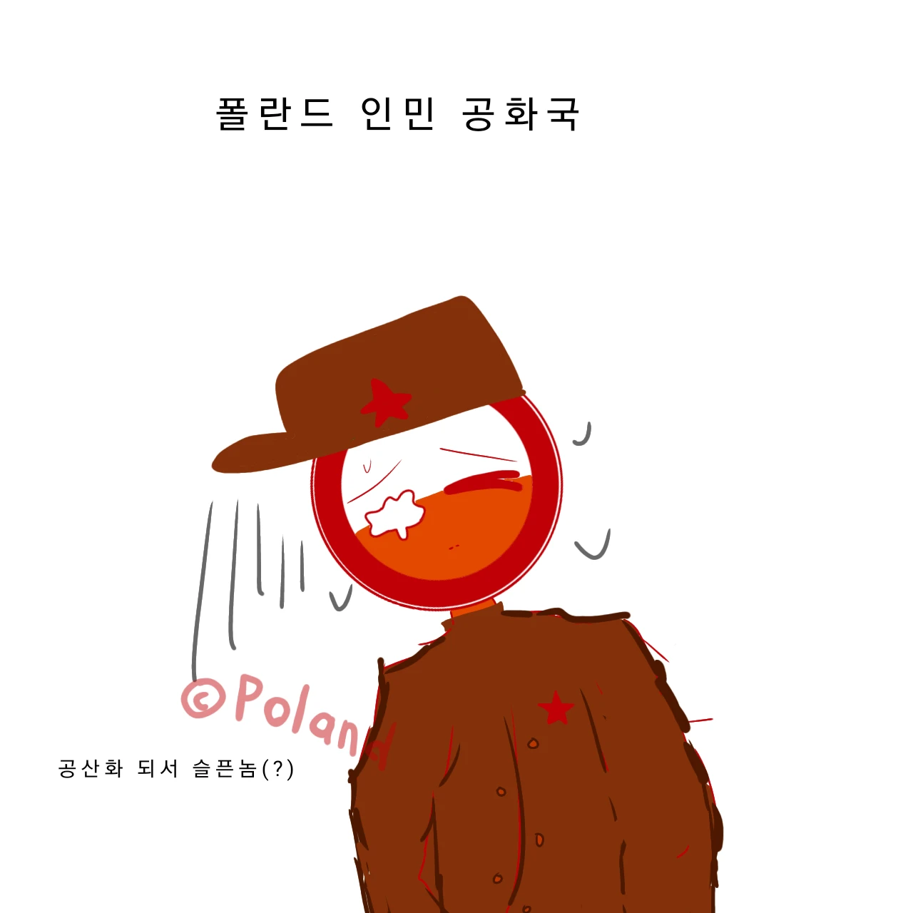공산화된 폴란드