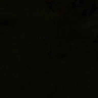 Profile image of 정카이