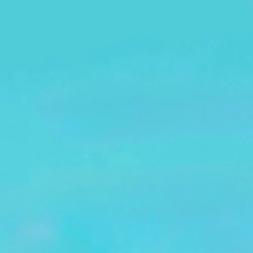 도현
