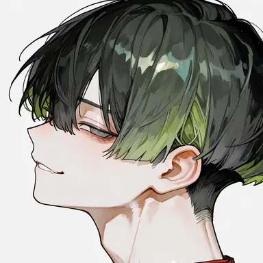 Profile image of 賀龍