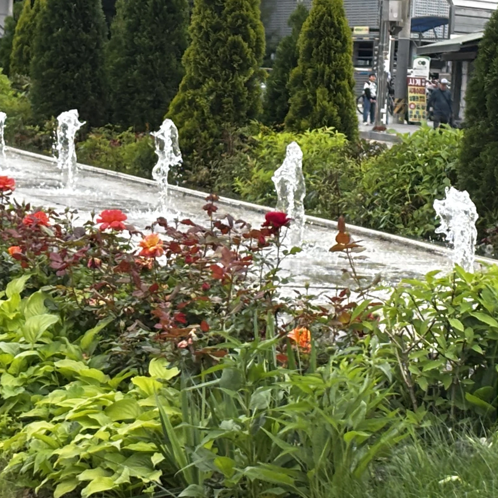 성호