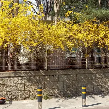 Profile image of 각별