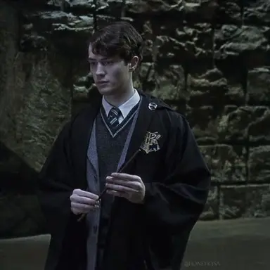 Profile image of Tom riddle