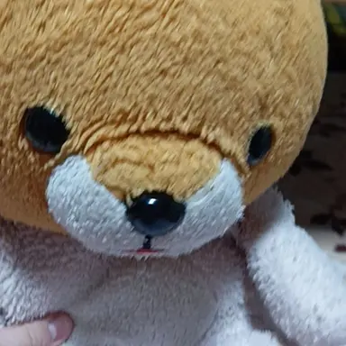 Profile image of さささ