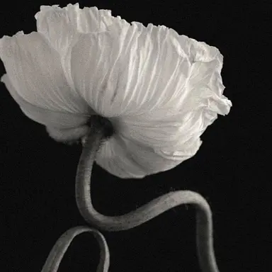 Profile image of 류하민