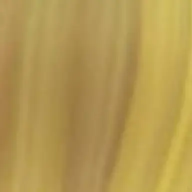 Profile image of 호원