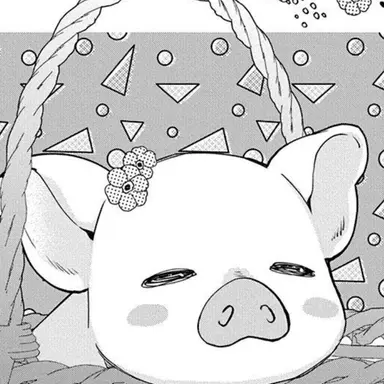 Profile image of 孫助
