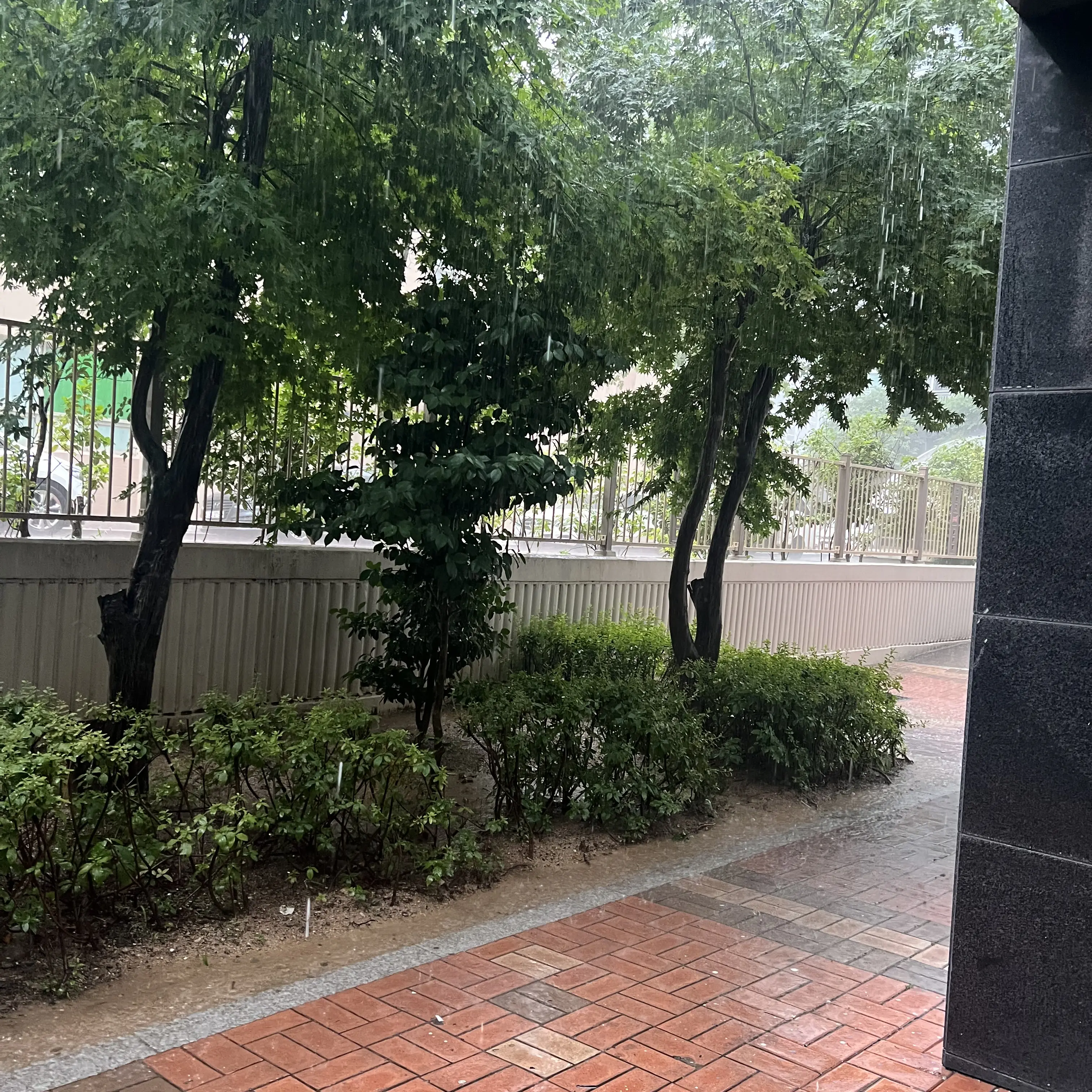 UNl.T_0911의 뜰팁 고등학교