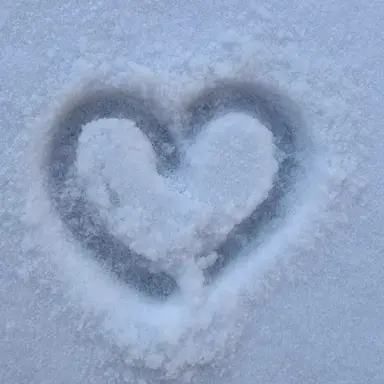 Profile image of 한동민