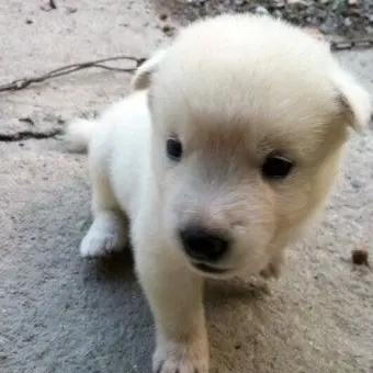 Profile image of 명재횬