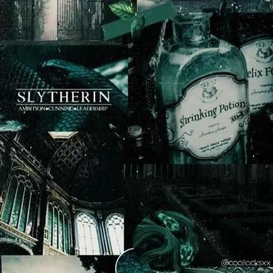 Profile image of 드레이코 말포이