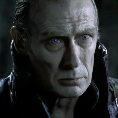 Profile image of Viktor