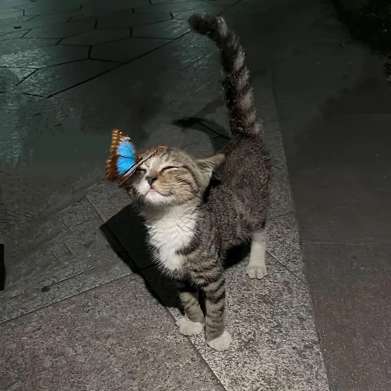 이지훉