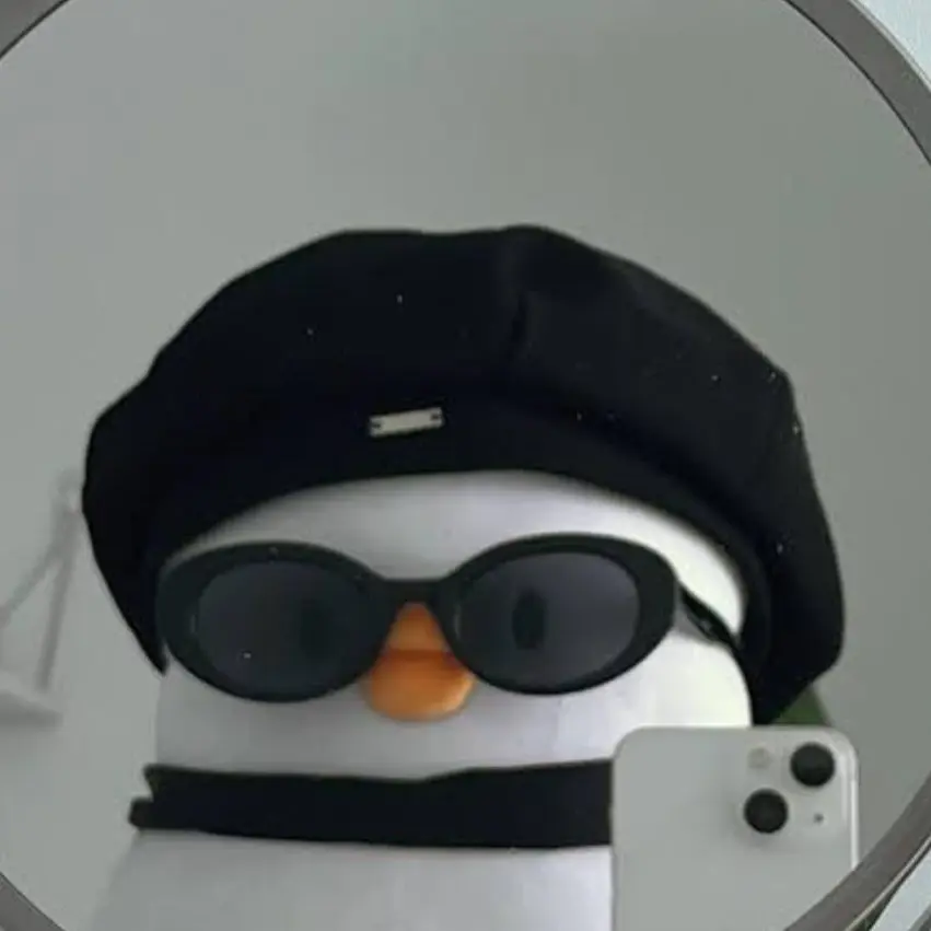 TinyDice8747의 제데로 삐진 유기사