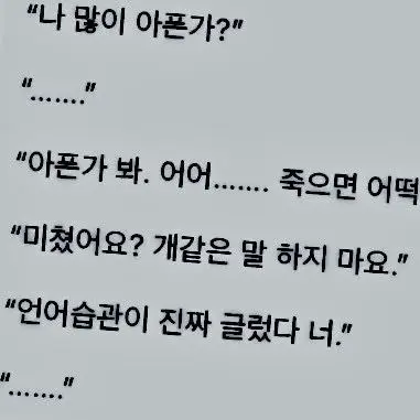 Dam_wol의 ㅤ