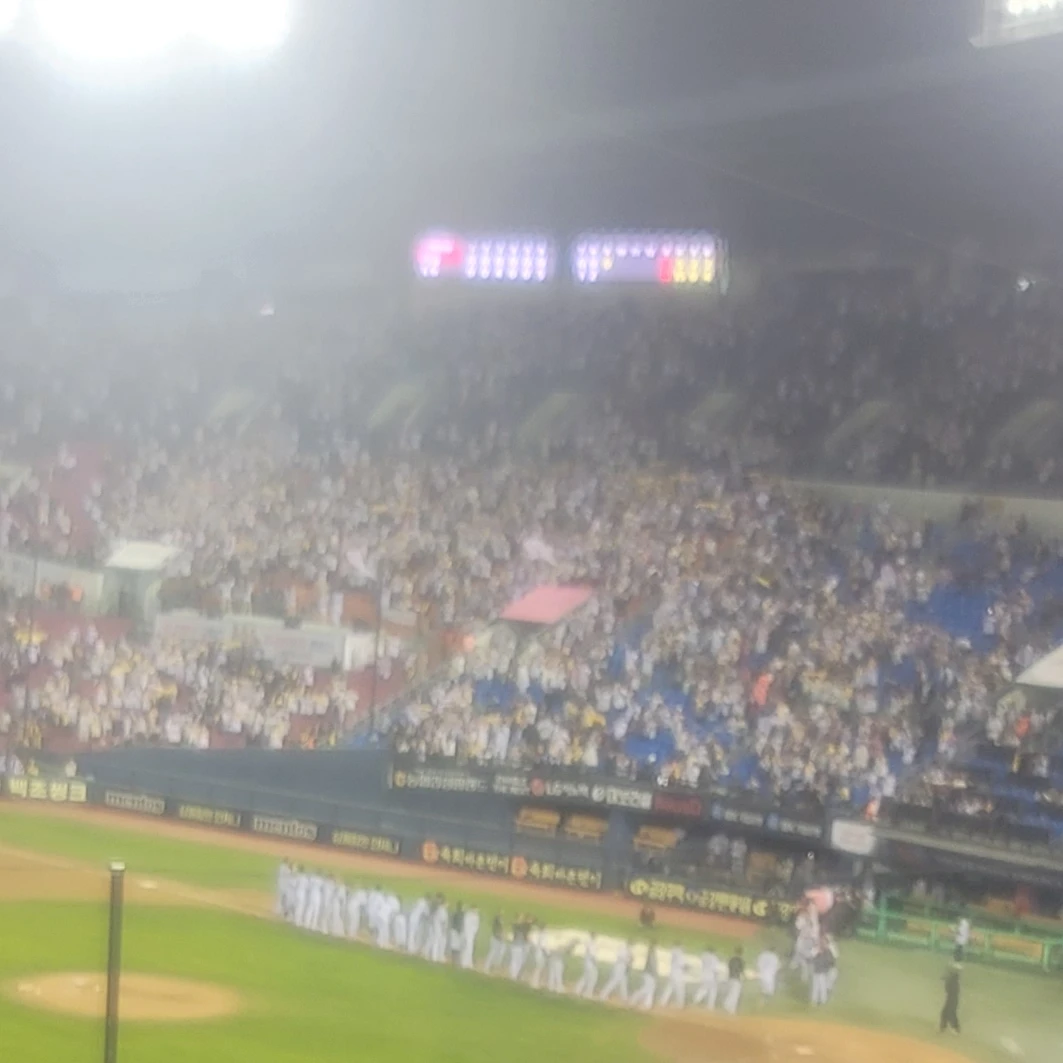 타팀 팬