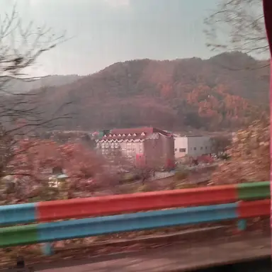 Profile image of 권지용