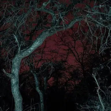 Profile image of Goriest