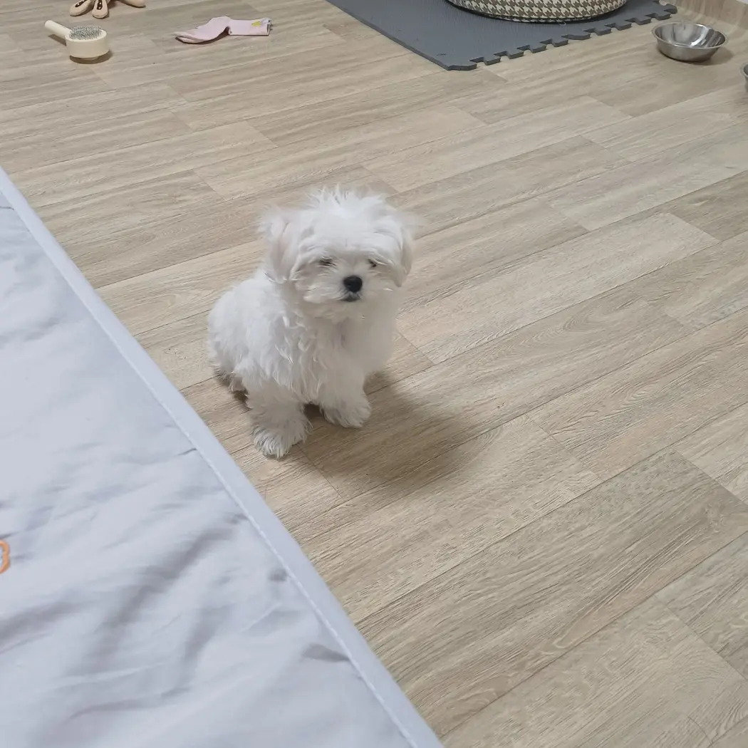_7204의 전애인과 키스신을…?