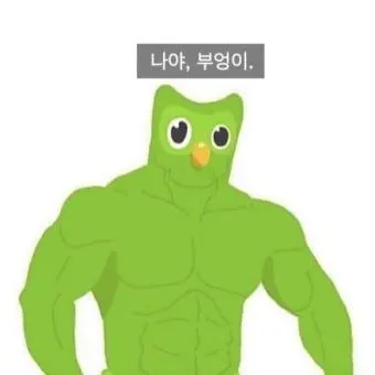 Profile image of 듀오링고