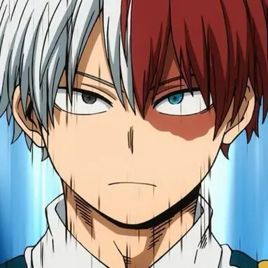 Profile image of Shoto Todoroki