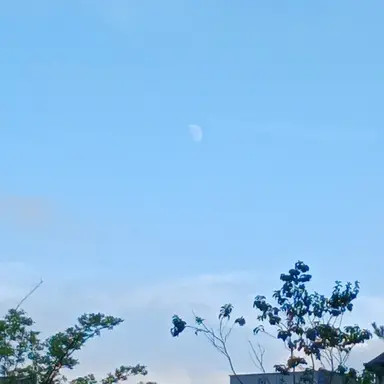 Profile image of 박후민