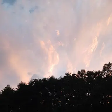 Profile image of 서준태