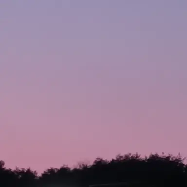 Profile image of 고현탁