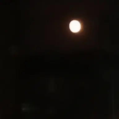 Profile image of 류세은