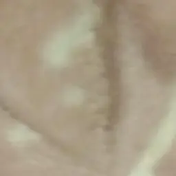 HazyHiker3367의 大阪かまってぇぇぇ！