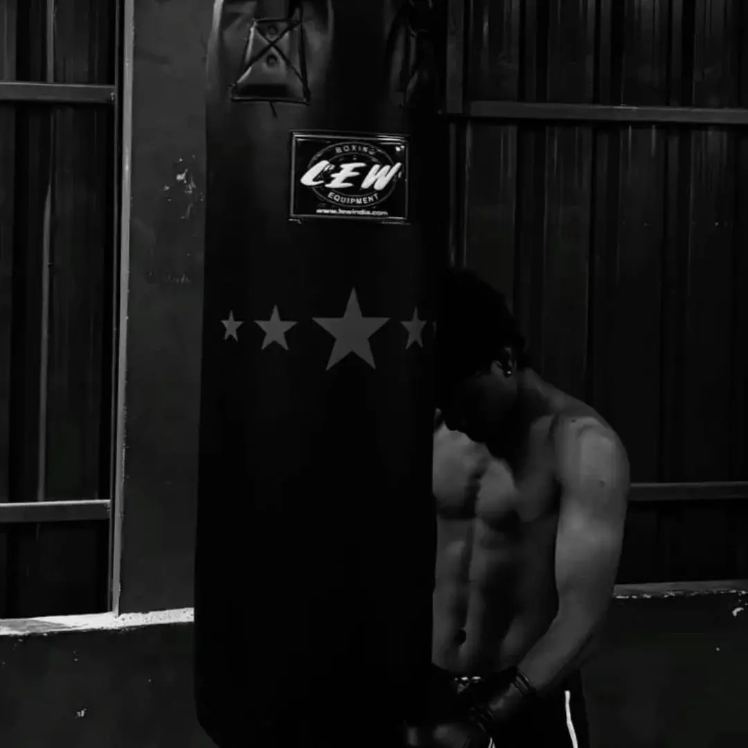 mellsss_의 Boxer.