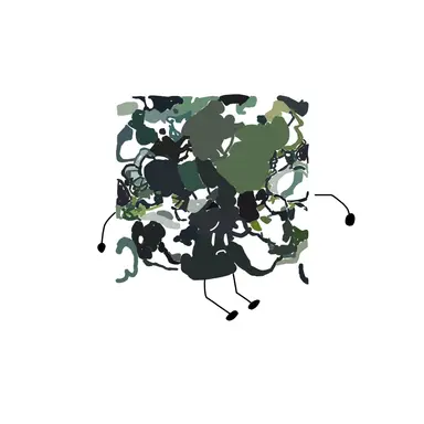 Profile image of Stage 3