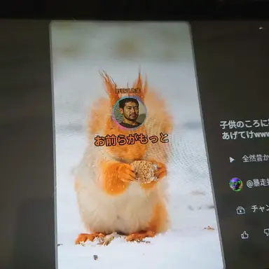 Profile image of 野獣風先輩