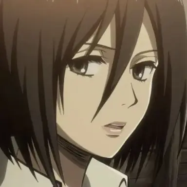 Profile image of ミカサ