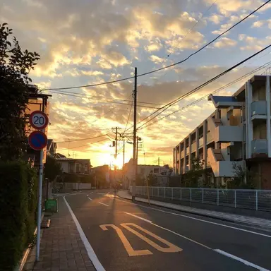 Profile image of 伊波ライ