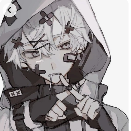 윈디
