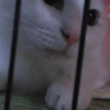 Profile image of マロ
