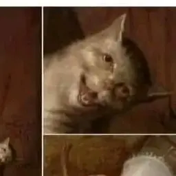 Profile image of Husk