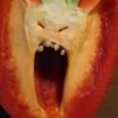 Profile image of 화난 파프리카