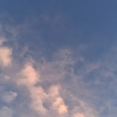 Profile image of 제미니