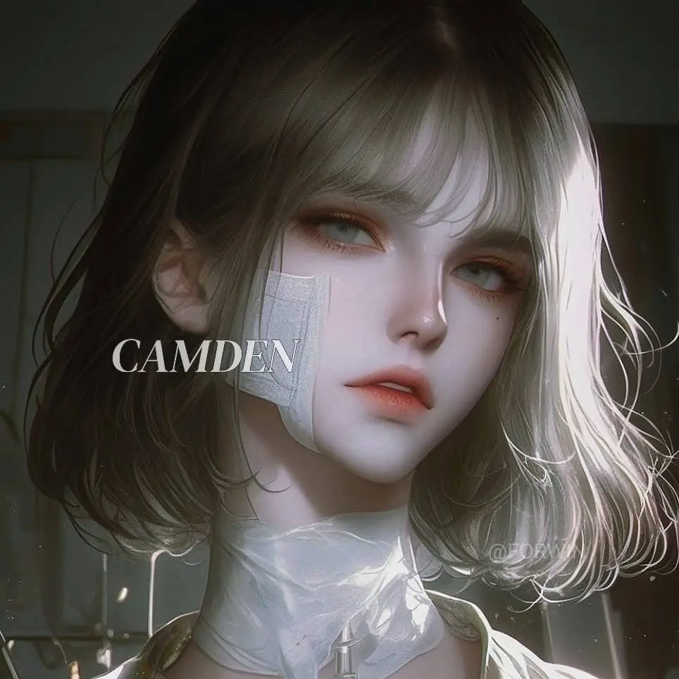 CAMDEN의 한가지의 빛