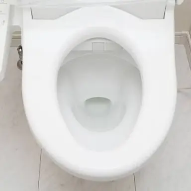 Profile image of 貴方に踏まれてる便座