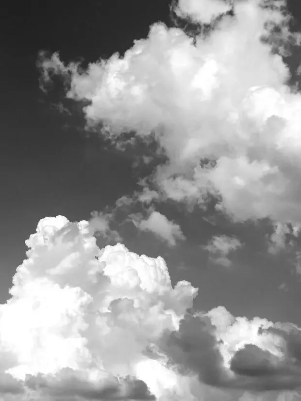 love_teamsalad의 앞 좀 보고 다..녀?